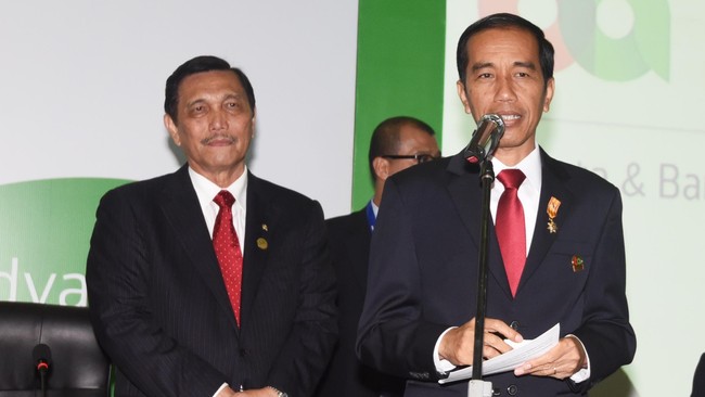 Presiden Jokowi menunjuk Luhut Binsar Pandjaitan sebagai ketua merangkap anggota Dewan Sumber Daya Air Nasional dari unsur pemerintah.