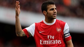 Pique Klaim Fabregas Sebagai Pionir