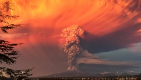 Gunung Calbuco Meletus, Jadwal Penerbangan Ditunda