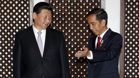 Jokowi Minta XI Jinping Permudah Impor Sarang Walet Indonesia