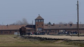 Museum Auschwitz Kritik Parodi Korban Holocaust di TikTok