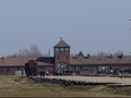 Museum Auschwitz Kritik Parodi Korban Holocaust di TikTok