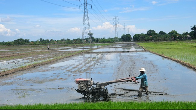 Pemerintah tengah mengejar pembangunan irigasi sekitar empat juta hektar hingga tahun 2019 mendatang guna meningkatkan produktivitas petani.