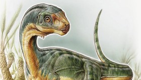 Dinosaurus Pemakan Tumbuhan yang Mirip Karnivora