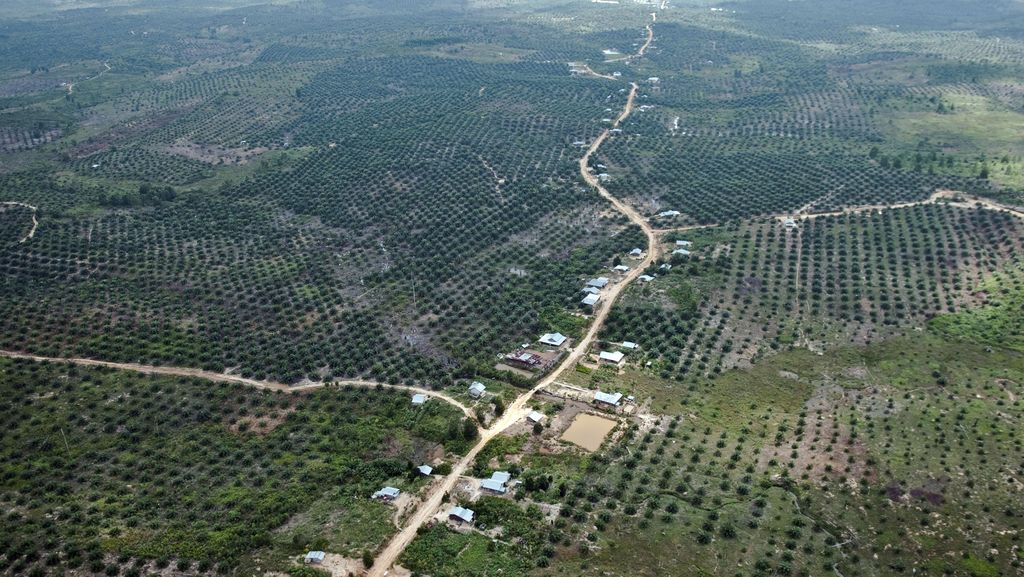 Pulihkan TN Tesso Nilo Riau, Sawit Dibabat untuk Kembalikan Hutan