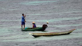 Bencana Rumput Laut Busuk 'Tamatkan' Pantai Karibia