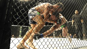 Tabrak Wanita Hamil, Gelar Juara Pegulat UFC Dicabut