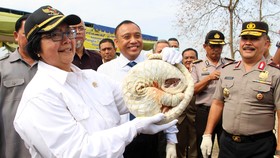 Bareskrim Bongkar Perdagangan Satwa Langka Berkedok Konveksi