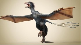 Ahli Jawab Pertanyaan Dinosaurus Berdarah Dingin Atau Panas