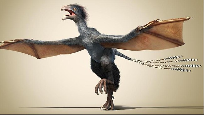 Ilmuwan Tiongkok menemukan satu spesies dinosaurus baru, yang tubuhnya memiliki&nbsp;sayap seperti kelelawar. Nenek moyang burung?