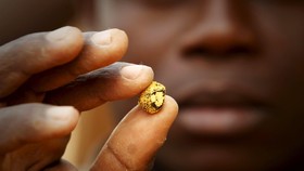 Saratoga Bidik Rp 1,8 Triliun dari IPO Merdeka Copper