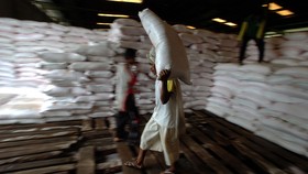 Harga Pupuk NPK Diprediksi Naik Imbas Perang Rusia-Ukraina