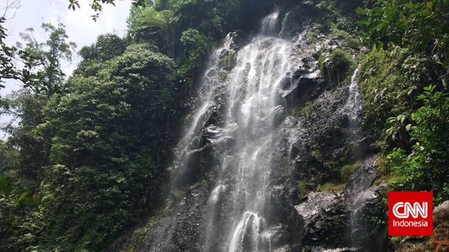 Sudah puluhan tahun kawasan wisata Curug Cigamea dibuka untuk umum. Masyarakat setempatlah yang pertama kali memrakarsainya, tanpa bantuan dari Pemerintah.