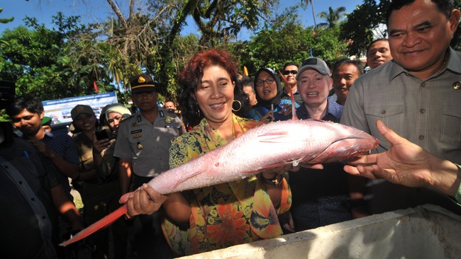 Terkait hal ini, Menteri Kelautan dan Perikanan Susi Pudjiastuti akan menyurati Dubes Vietnam dan Singapura.