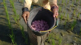 Pemerintah Punya Utang Subsidi Rp5 T ke Pupuk Indonesia