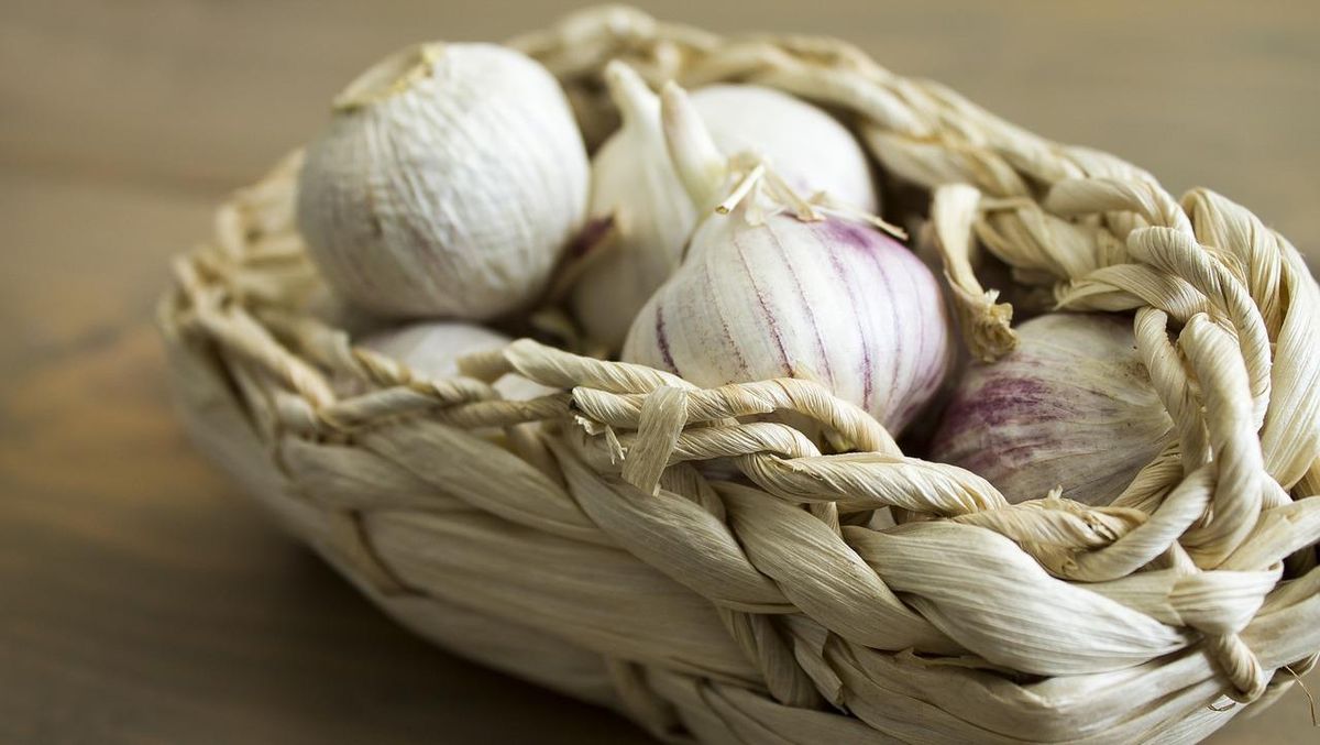 Hati-hati, Ini 4 Efek Samping Konsumsi Bawang Putih Berlebihan