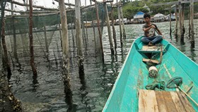 Kadin Gandeng Pengusaha Keramba Jaring Apung di Sulsel 2019