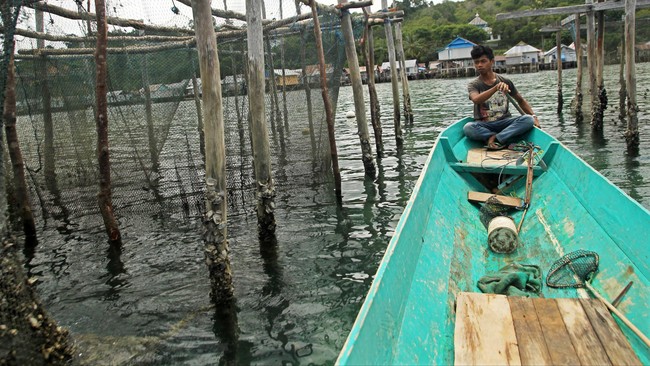 Kamar Dagang dan Industri Indonesia (Kadin) bakal bekerja sama dengan pengusaha keramba jaring apung (KJA) di Sulawesi Selatan pada awal 2019.