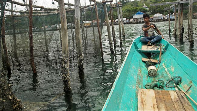 Suku Bajo diketahui tinggal di rumah-rumah panggung dan perahu di atas perairan laut, persis dalam film Avatar 2: Way of Water yang disutradarai James Cameron.