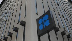 Anggota Opec Plus Dukung Saudi Tolak Tunduk kepada AS soal Minyak