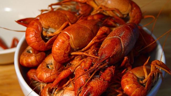 Sebelum dinikmati, Anda perlu tahu cara memilih dan menyajikan lobster yang tepat.