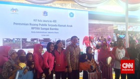Dorong Partisipasi Masyarakat, Ahok Siapkan Pergub Taman