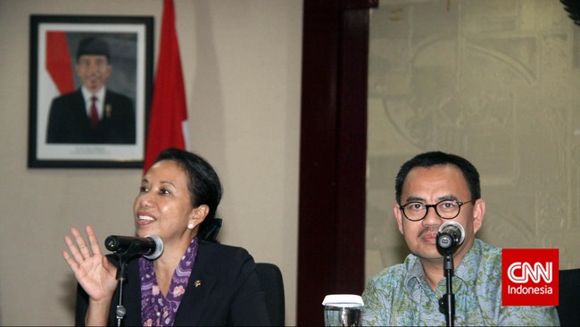 Kementerian ESDM lebih condong menjadikan salah satu anak perusahaan PT PLN untuk mengelola EBT dari pada harus membuat perusahaan baru.