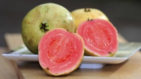 Meluruskan Mitos Jambu Klutuk