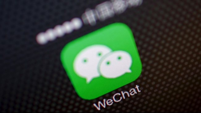 Ikan wechat anak Indahnya Syurga