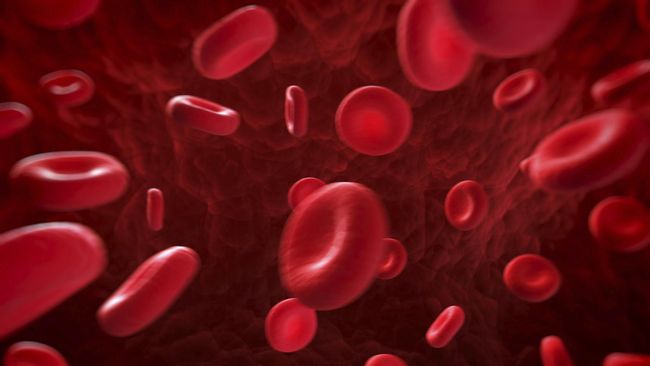 Para peneliti mengembangkan tes darah berbasis DNA yang dapat menentukan sejarah virus seseorang.