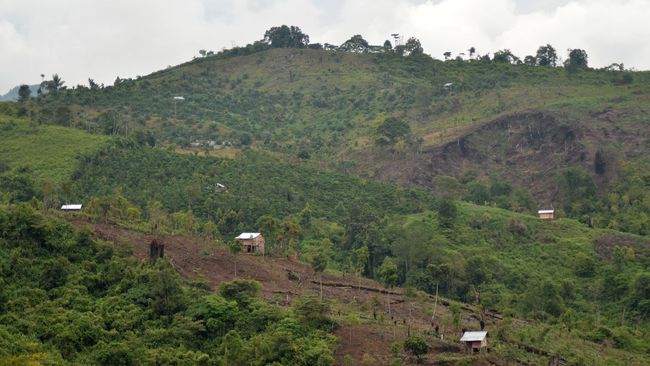 Cerita tentang orang-orang desa yang turut andil memberikan napas panjang warga dunia dari hutan yang tersisa di Pulau Sumatera.