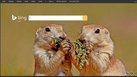 China Blokir Mesin Pencari Microsoft, Bing