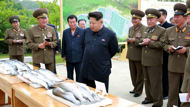 Pejabat PBB memperingatkan kekeringan di Korea Utara akan menyebabkan kekurangan pasokan makanan dalam jumlah besar.