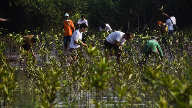 Pertamina Foundation digugat PKPU di PN Jakpus terkait tagihan dalam program Gerakan Menanam Pohon (GMP).