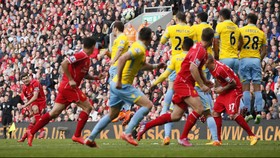 Skuat 'Liver Bird' Waspada Dipatuki 'Para Elang'