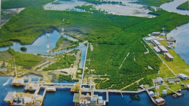 Pemerintah menyerahkan segala keputusan mengenai kesempatan sharedown PI Blok Mahakam ke Total E&P Indonesie dan PT Pertamina (Persero).