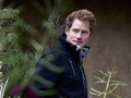 Pangeran Harry Jalani Tes HIV