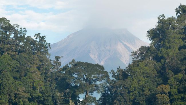 Selain berfungsi sebagai kawasan hutan lindung, Madapi juga merupakan tempat wisata sekaligus lokasi penelitian.