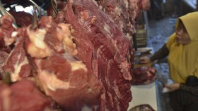 145 Ribu Ton Daging dan 36 Ribu Sapi Impor Banjiri RI