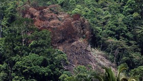 Kronologi Puluhan Warga Limapuluh Kota Tersesat di Hutan