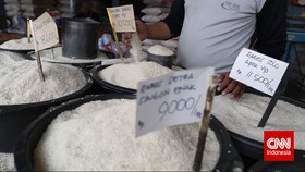 Ekonom Kritik 'Gaya Orba' dan Serampangan Impor Beras RI