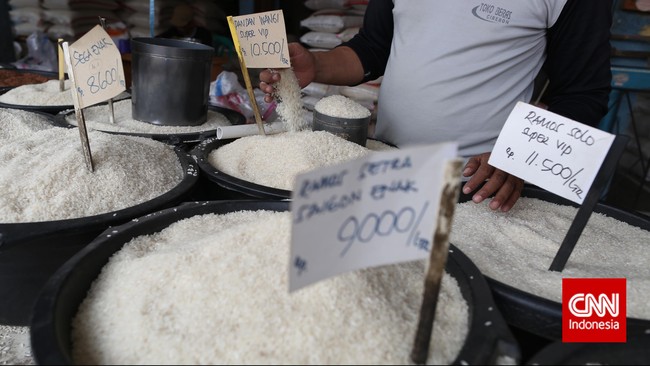 Sejumlah ekonom mengkritik kebijakan impor beras ala Presiden Joko Widodo (Jokowi) yang dinilai serampangan, bahkan 'bergaya' Orde Baru (Orba).