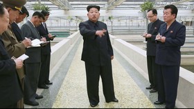 Kolam Kurang Air, Kim Jong Un Eksekusi Peternak Kura-kura