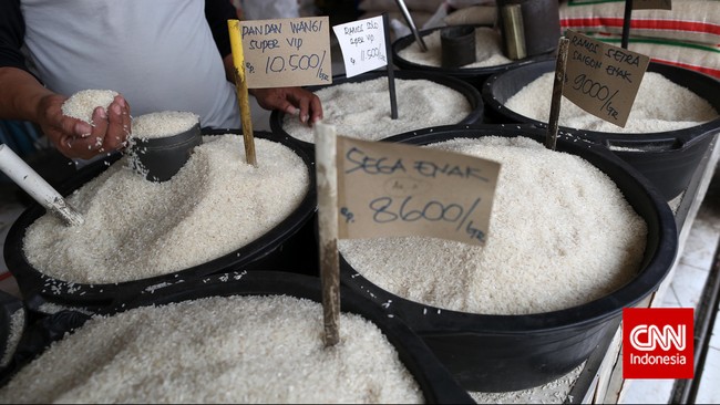 Perum Bulog menyebut harga beras hanya bisa turun sekitar Rp100 hingga Rp200 meski sudah mulai panen raya.