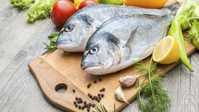 Heboh 'Ikan Kokain' di New York