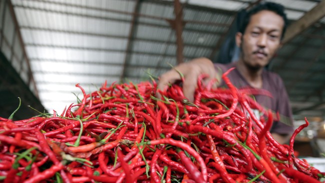 Pedagang cabai merah merapikan dagangannya di pasar tradisional sekip, Palembang, Kamis (21/5). Harga cabai merah keriting di beberapa pasar tradisional di Palembang mengalami kenaikan dari Rp15 ribu menjadi Rp30 ribu per kilogram akibat berkurangnya pasokan. ANTARA FOTO/Nova Wahyudi/Rei/nz/15.