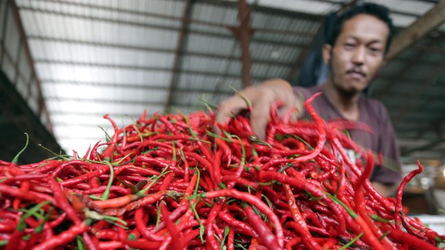 Harga Cabai Merah Keriting Naik 12,5 Persen dalam Sepekan Pedagang cabai merah merapikan dagangannya di pasar tradisional sekip, Palembang, Kamis (21/5). Harga cabai merah keriting di beberapa pasar tradisional di Palembang mengalami kenaikan dari Rp15 ribu menjadi Rp30 ribu per kilogram akibat berkurangnya pasokan. ANTARA FOTO/Nova Wahyudi/Rei/nz/15.