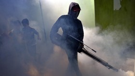 Brasil Berjuang Melawan Mikrosefalus