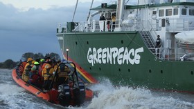 Pegawai Greenpeace India Bersedia Tidak Digaji
