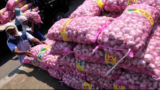 Kementan menerbitkan rekomendasi impor bawang putih 1,2 juta ton sepanjang 2023, padahal rakortas memutuskan hanya 560 ribu ton.